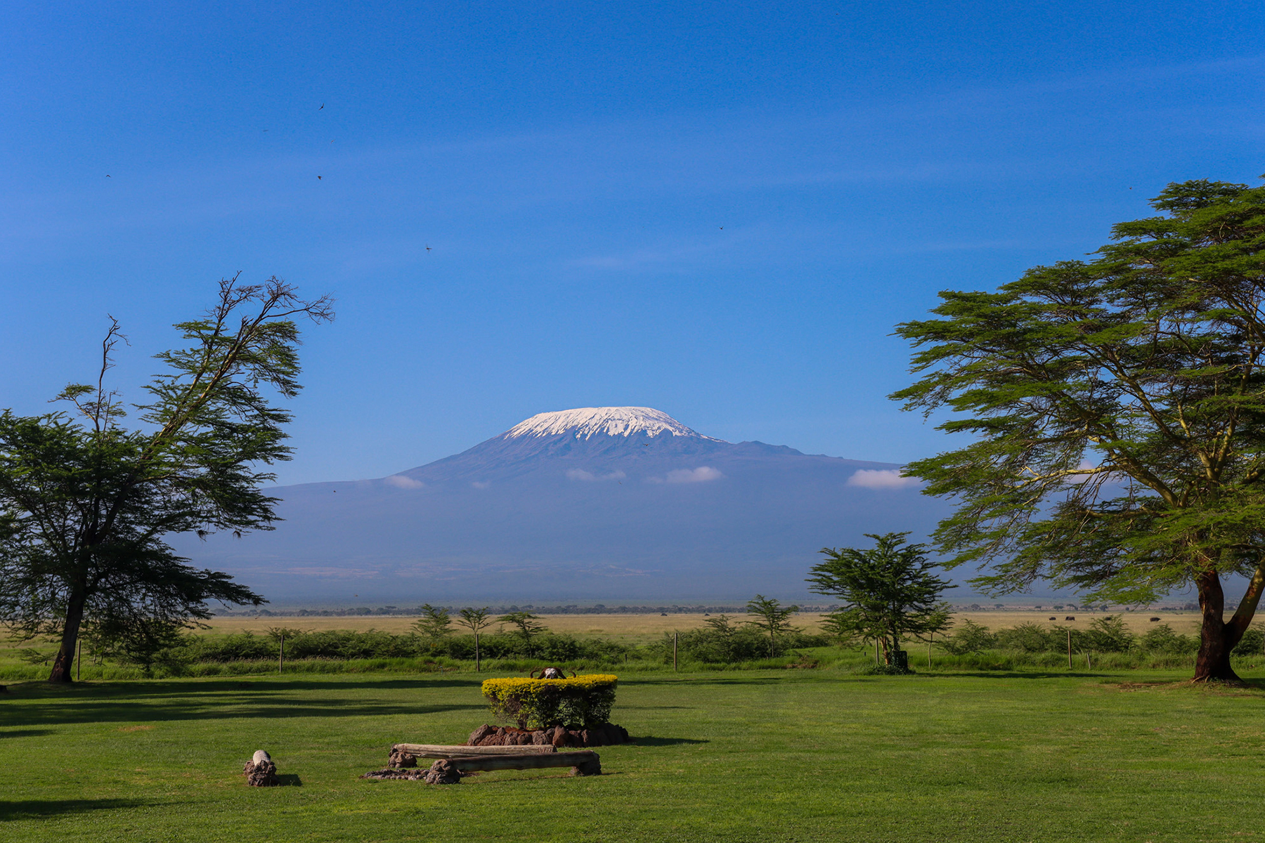 Kenya Wildlife Safari - Amboseli National Park