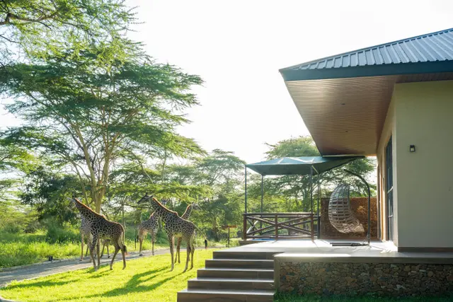 Family villa at Aya Sophia