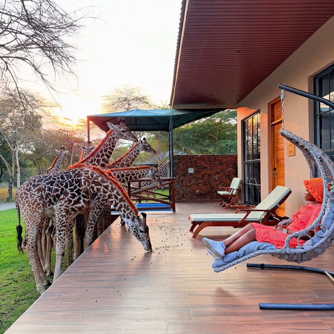 Safari lodge experience and wildlife viewing in East Africa