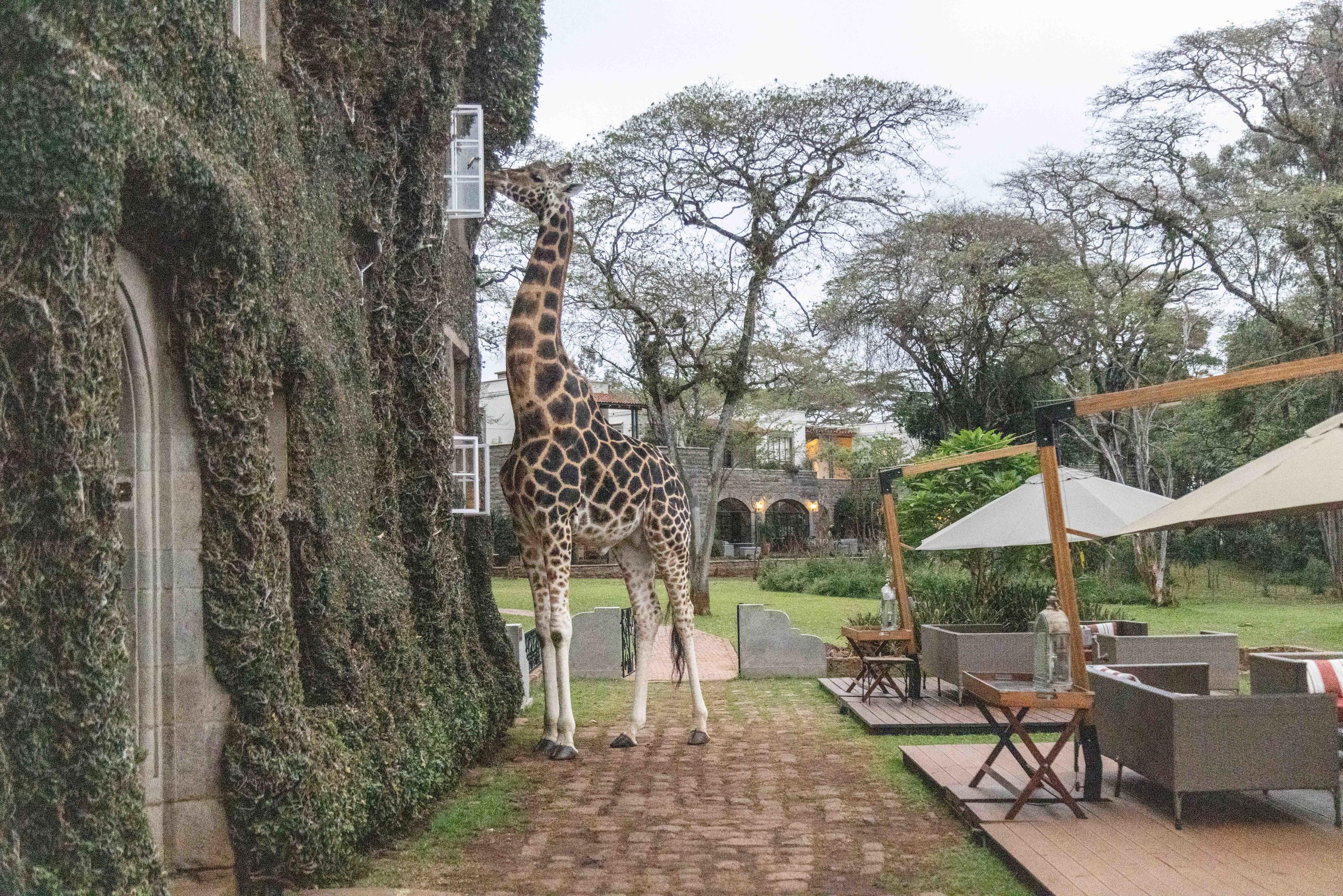 Kenya beach and safari combination holiday