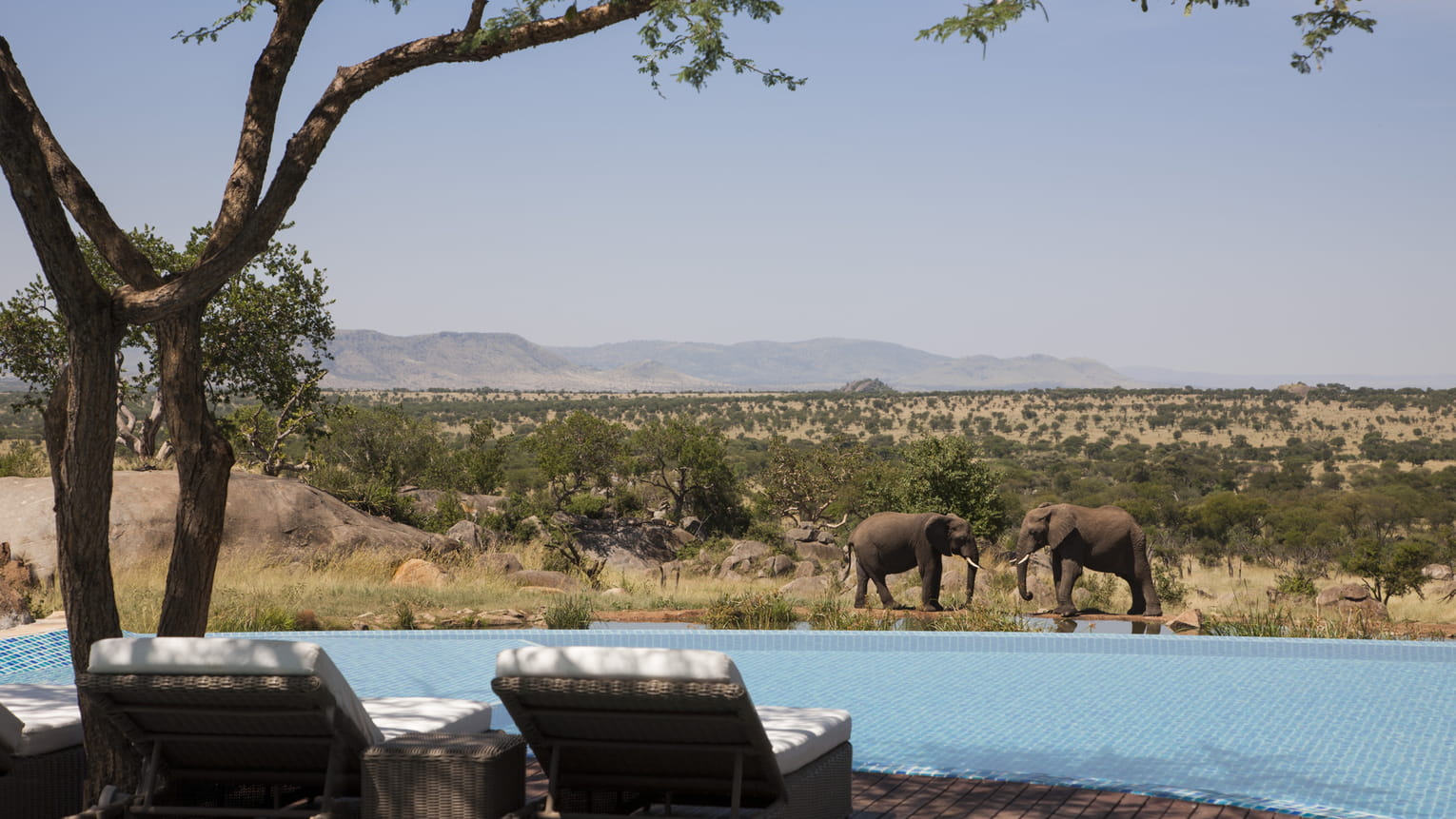 7-Day Serengeti & Ngorongoro Premium Safari