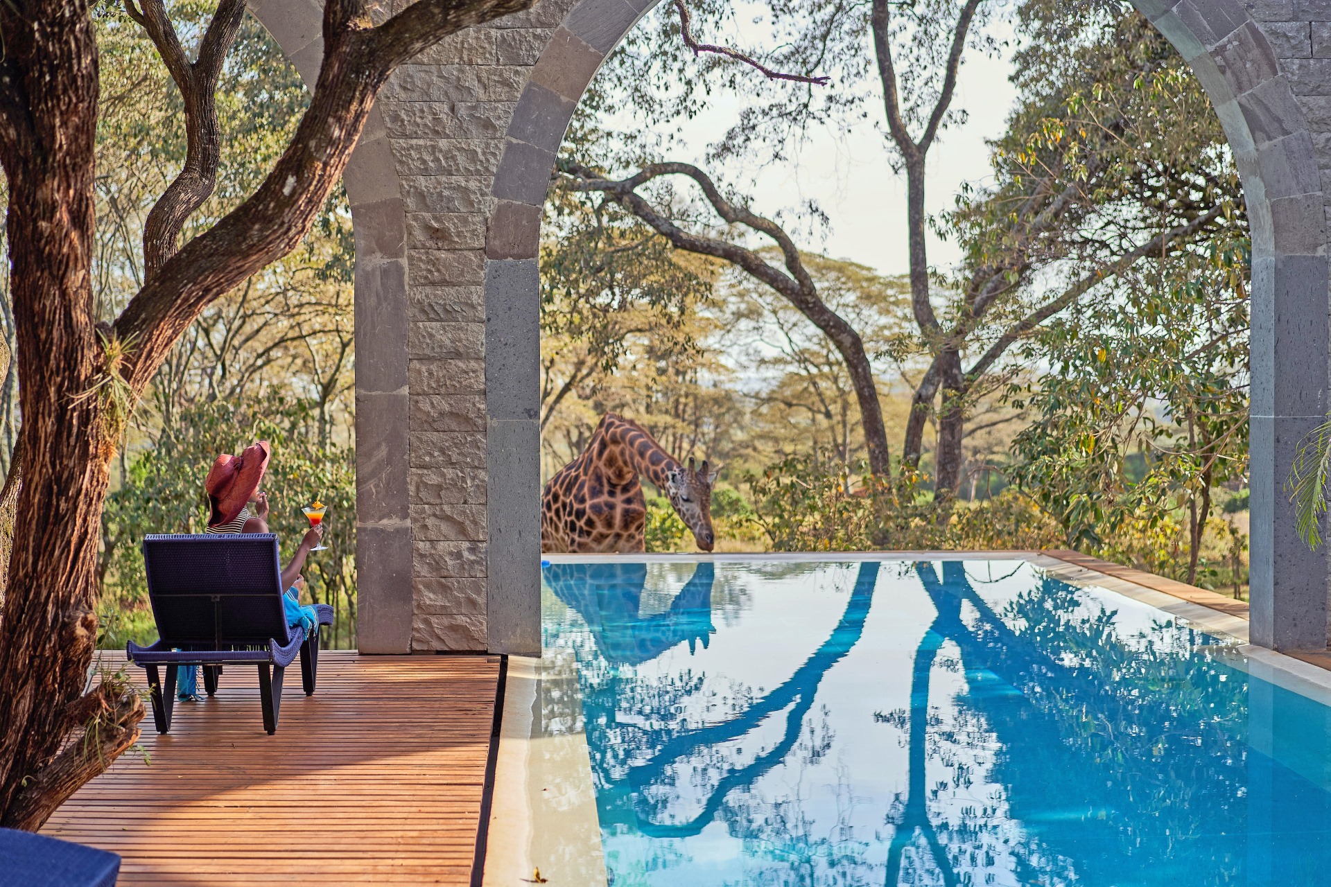 How much luxury Africa safari cost - luxury safari pricing guide