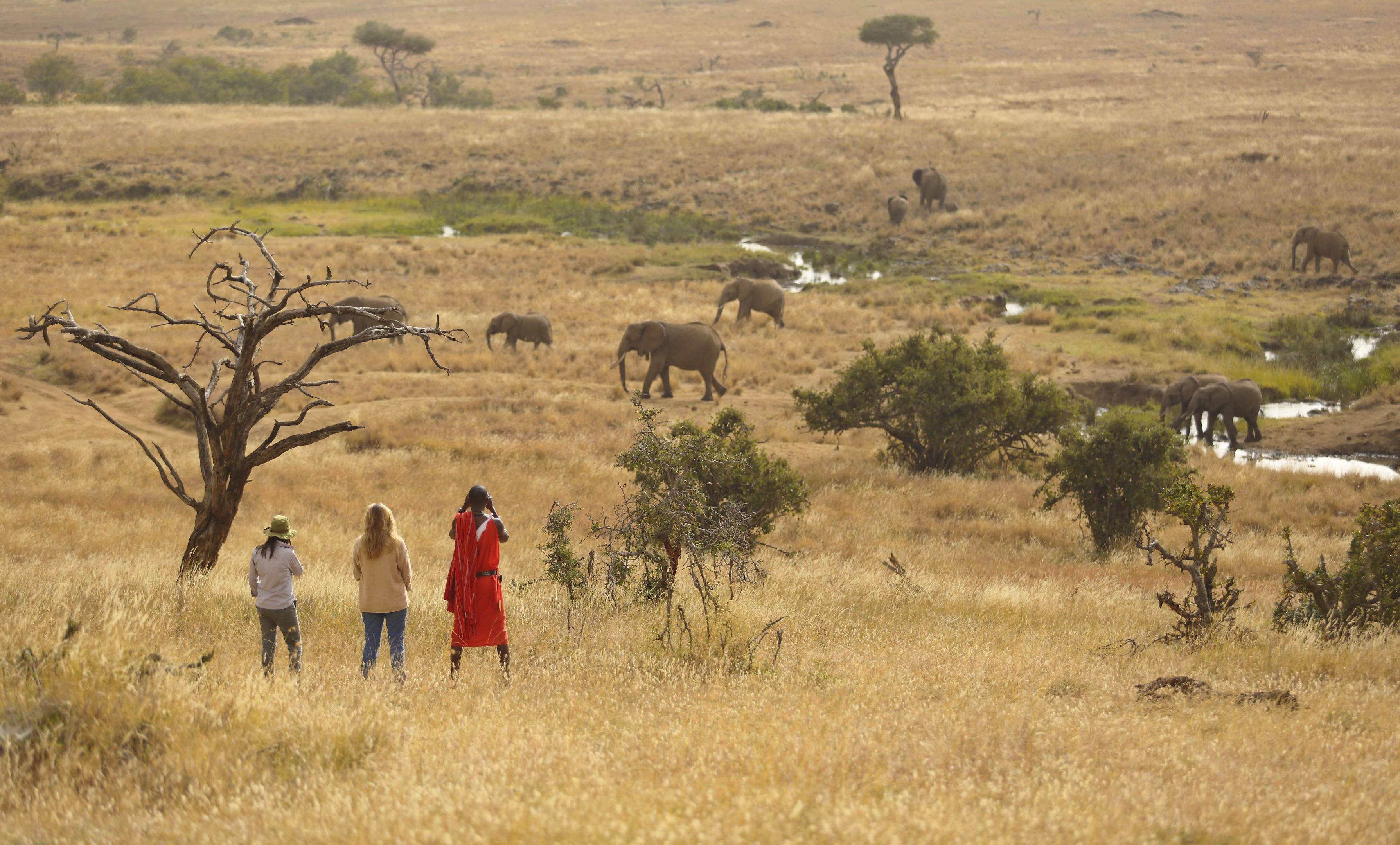 Family safari in Kenya inspired by Lion King