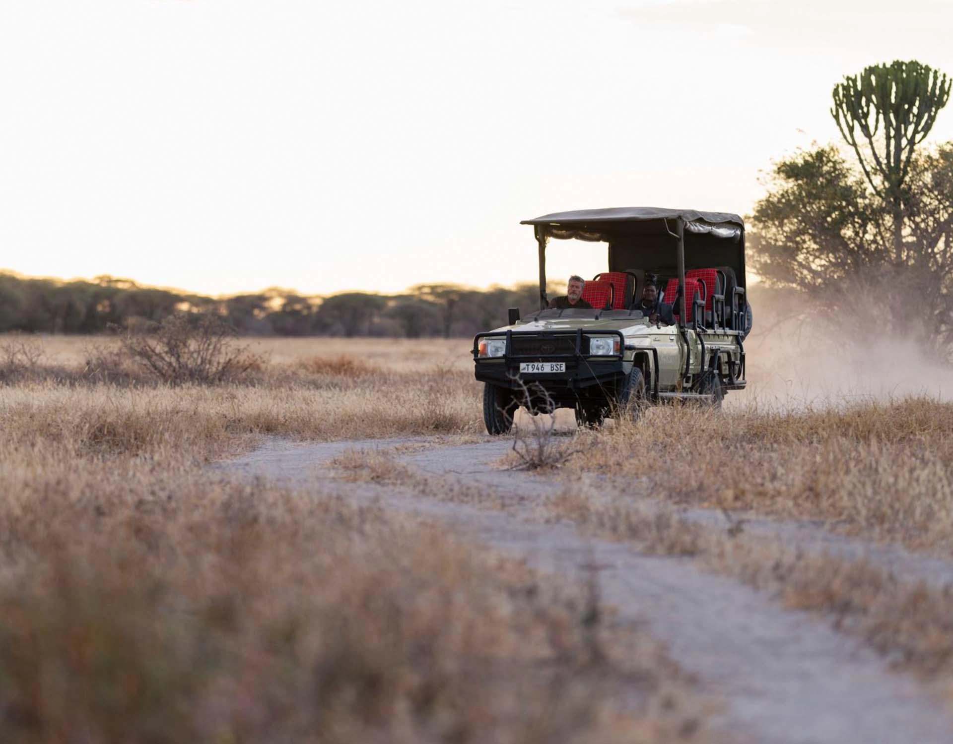 The Luxury Africa DMC — Destination Management Company based in Tanzania, designing and operating luxury safari journeys