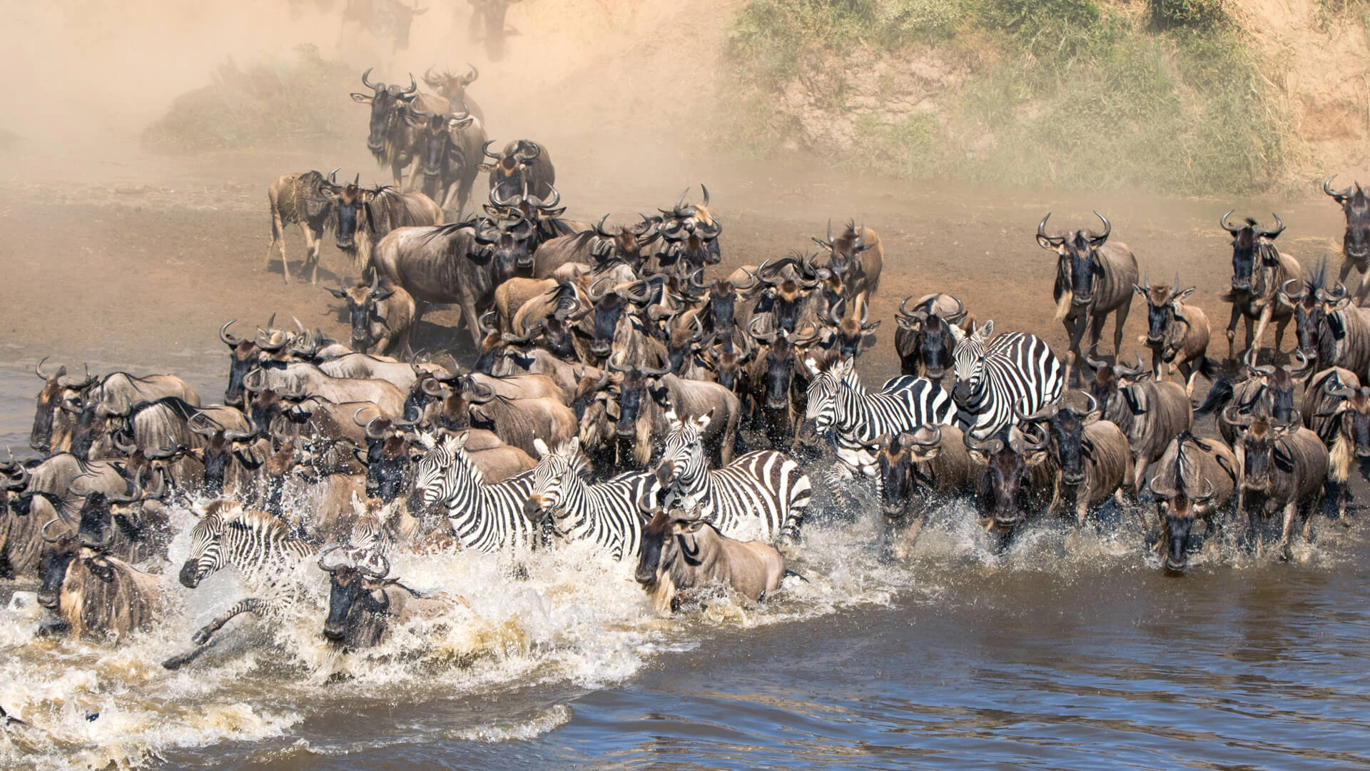 Great Migration safari