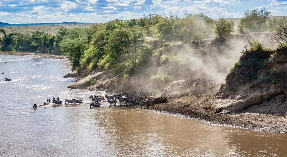 Great Migration herds moving through Northern Serengeti during July to October in long golden light
