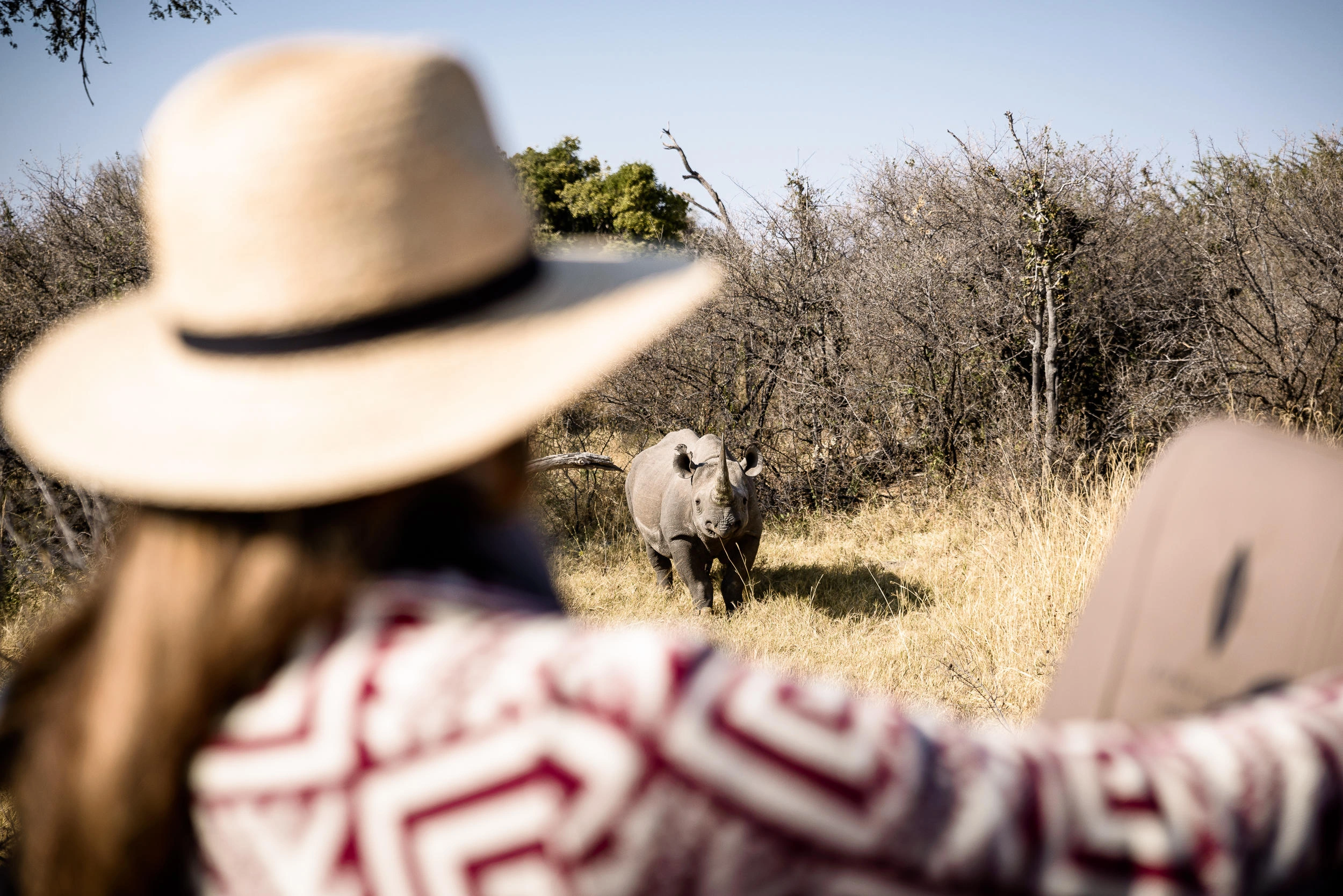 Tanzania safari cost breakdown luxury vs mid-luxury vs group joining