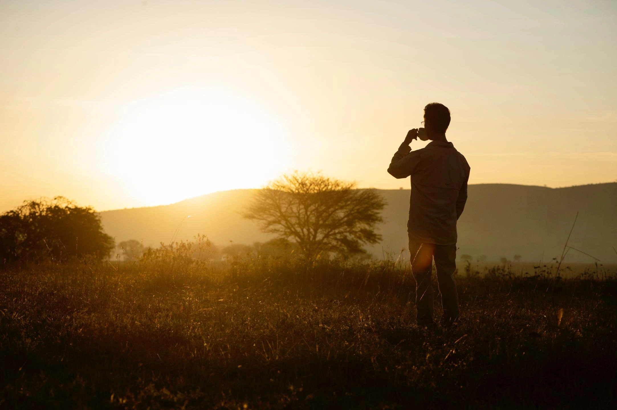 Tanzania safari gallery image 2
