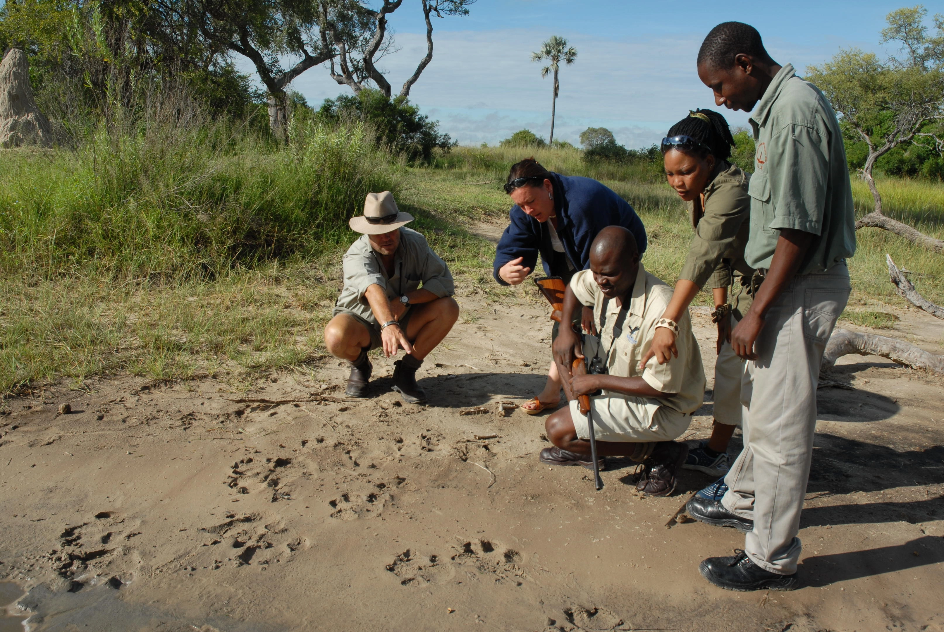 Luxury safari Tanzania gallery - premium camps and landscapes